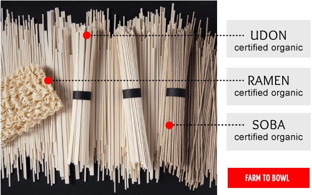 Udon, Ramen, and Soba certified organic